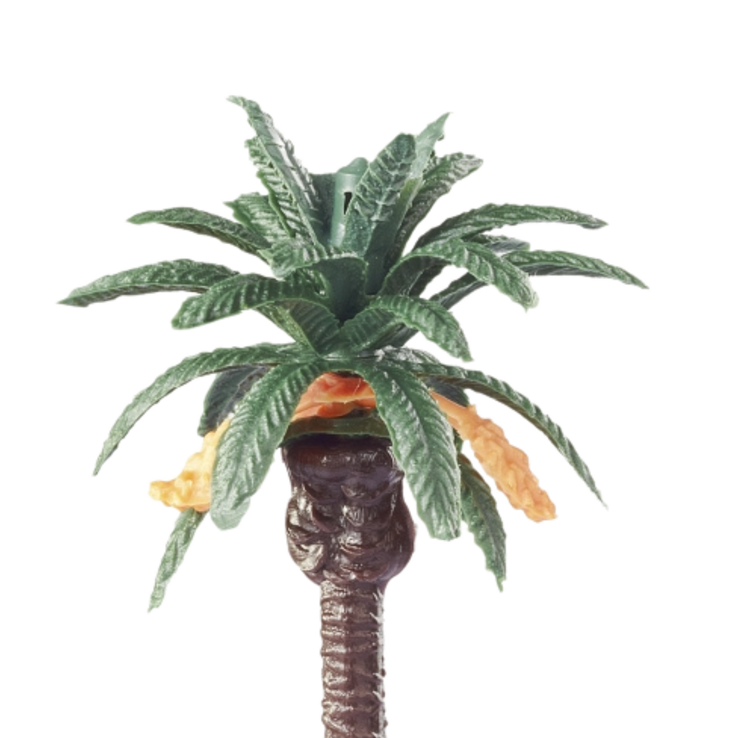 Miniatur Palme 12cm - Großansicht oberer Teil