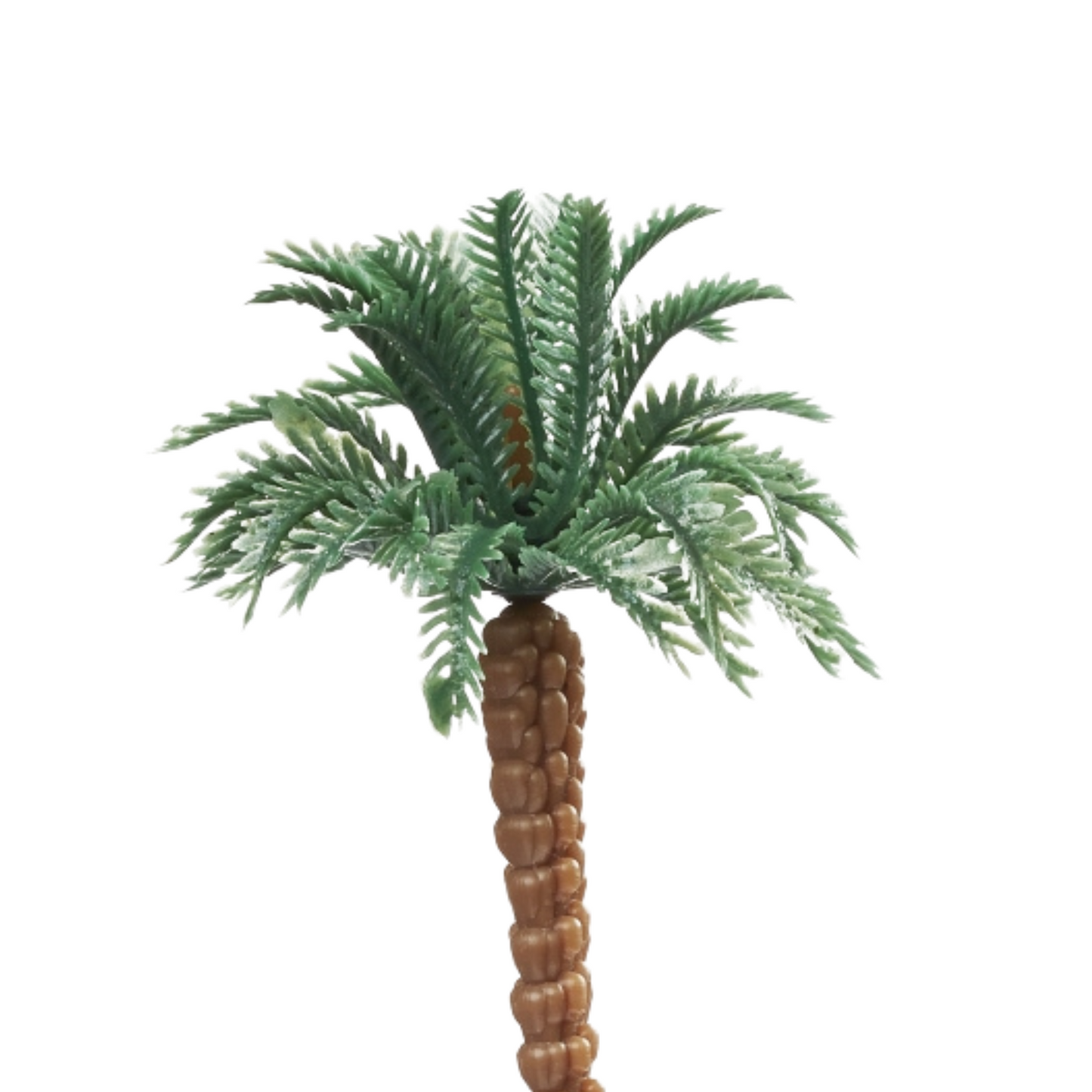 Miniatur Palme 15cm - Großansicht oberer Teil