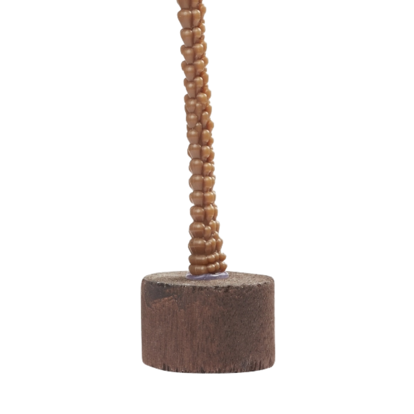 Miniatur Palme 15cm - Großansicht unterer Teil