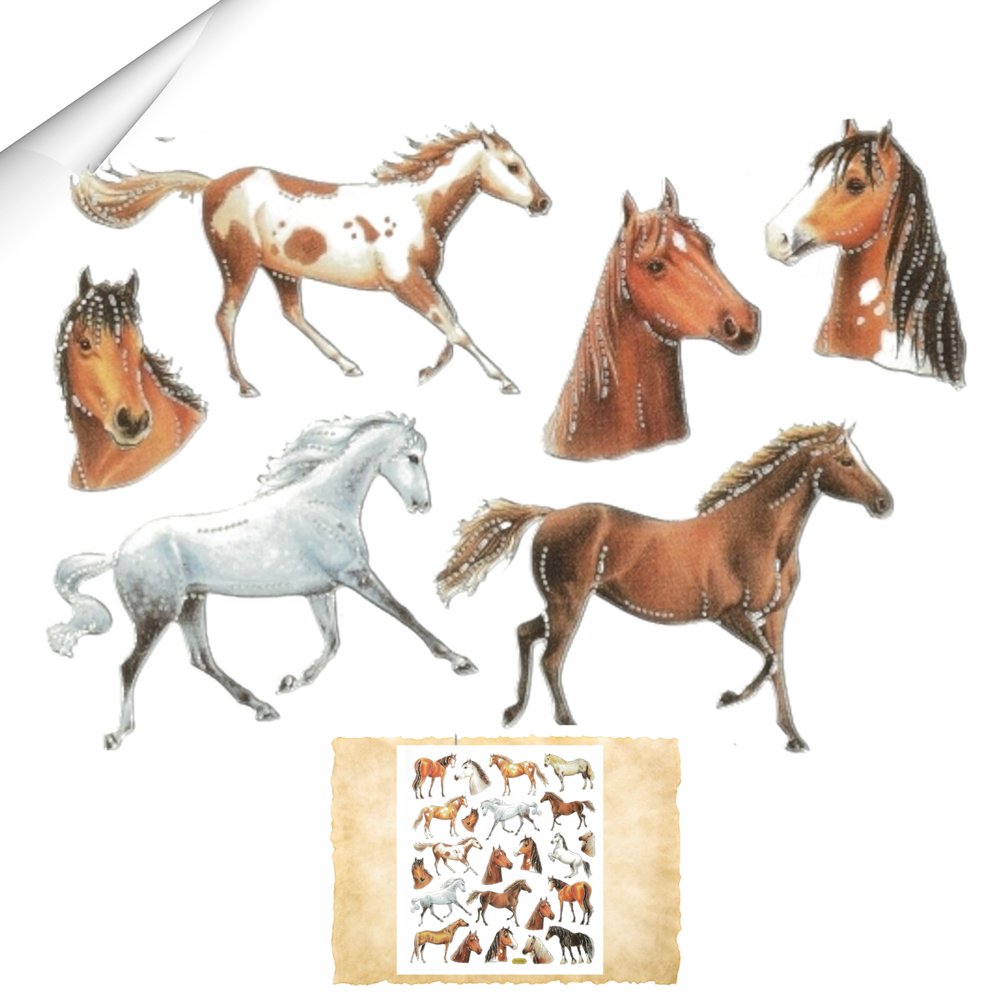 Sticker Wilde Pferde