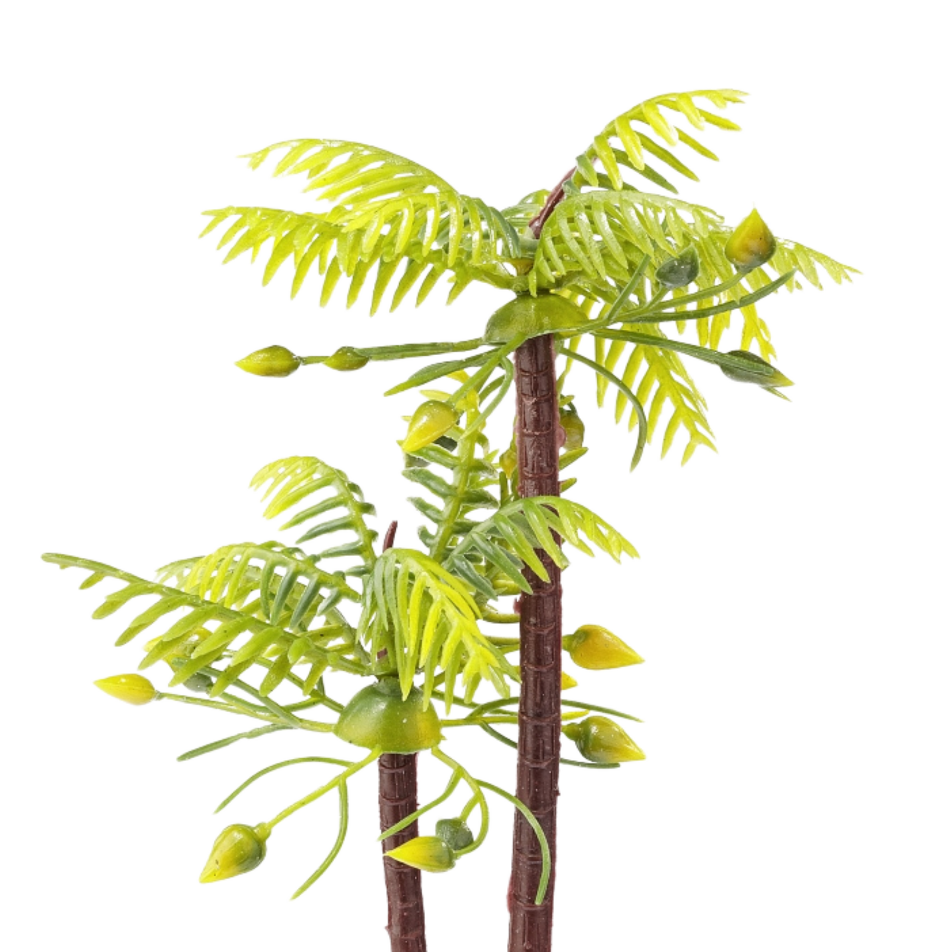 Miniatur Palme Großansicht, oberer Teil