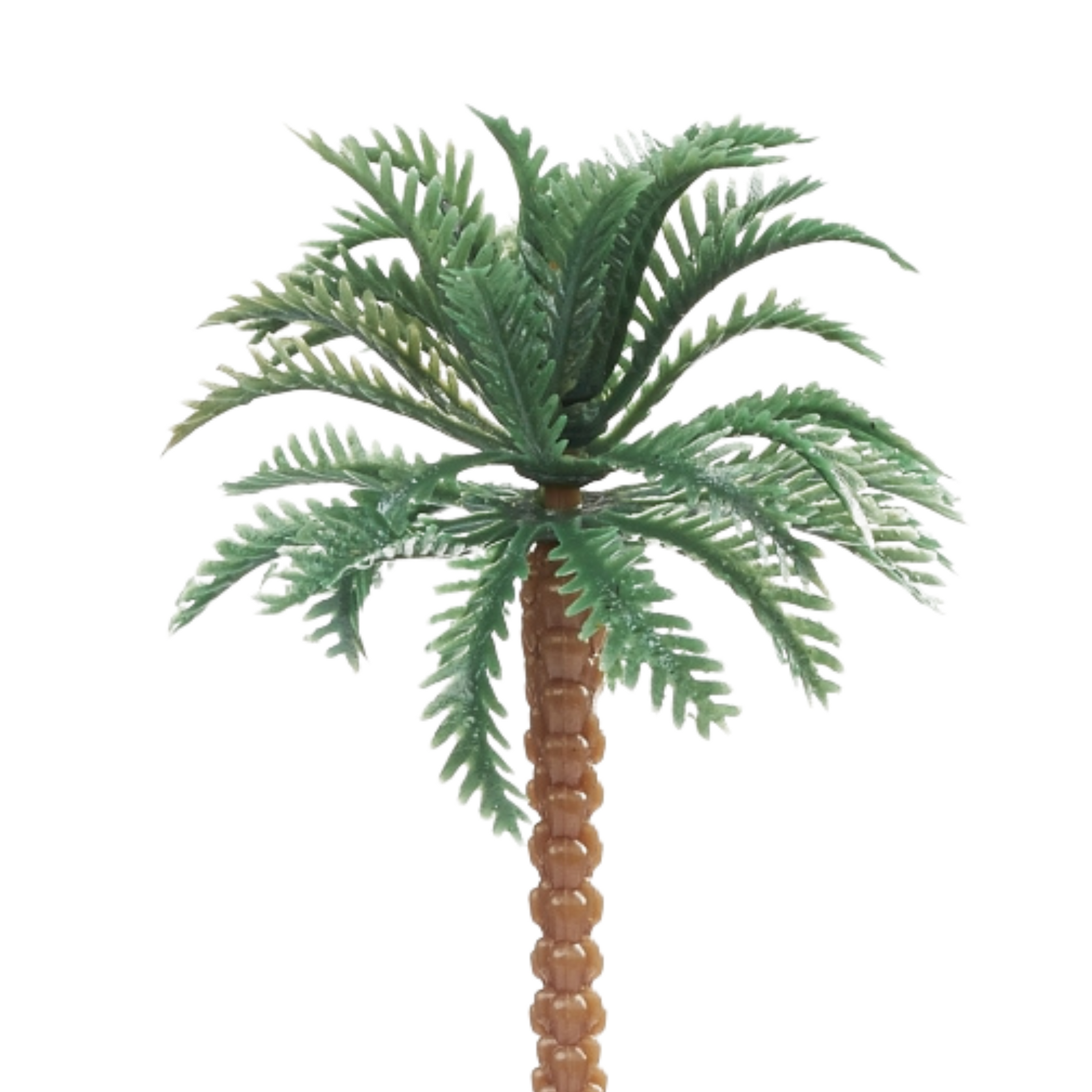 Miniatur Palme 10cm - Großansicht oberer Teil