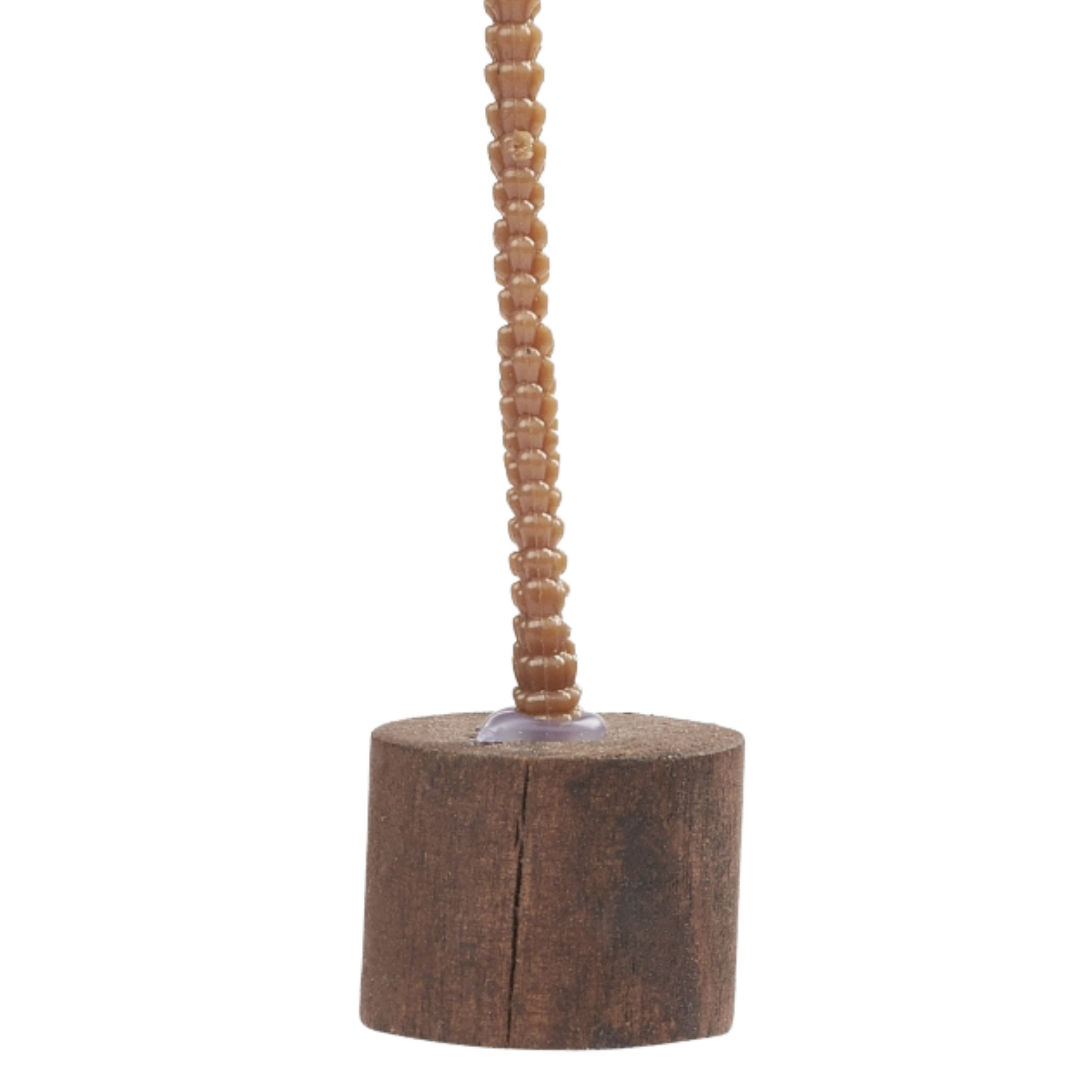 Miniatur Palme 10cm - Großansicht unterer Teil