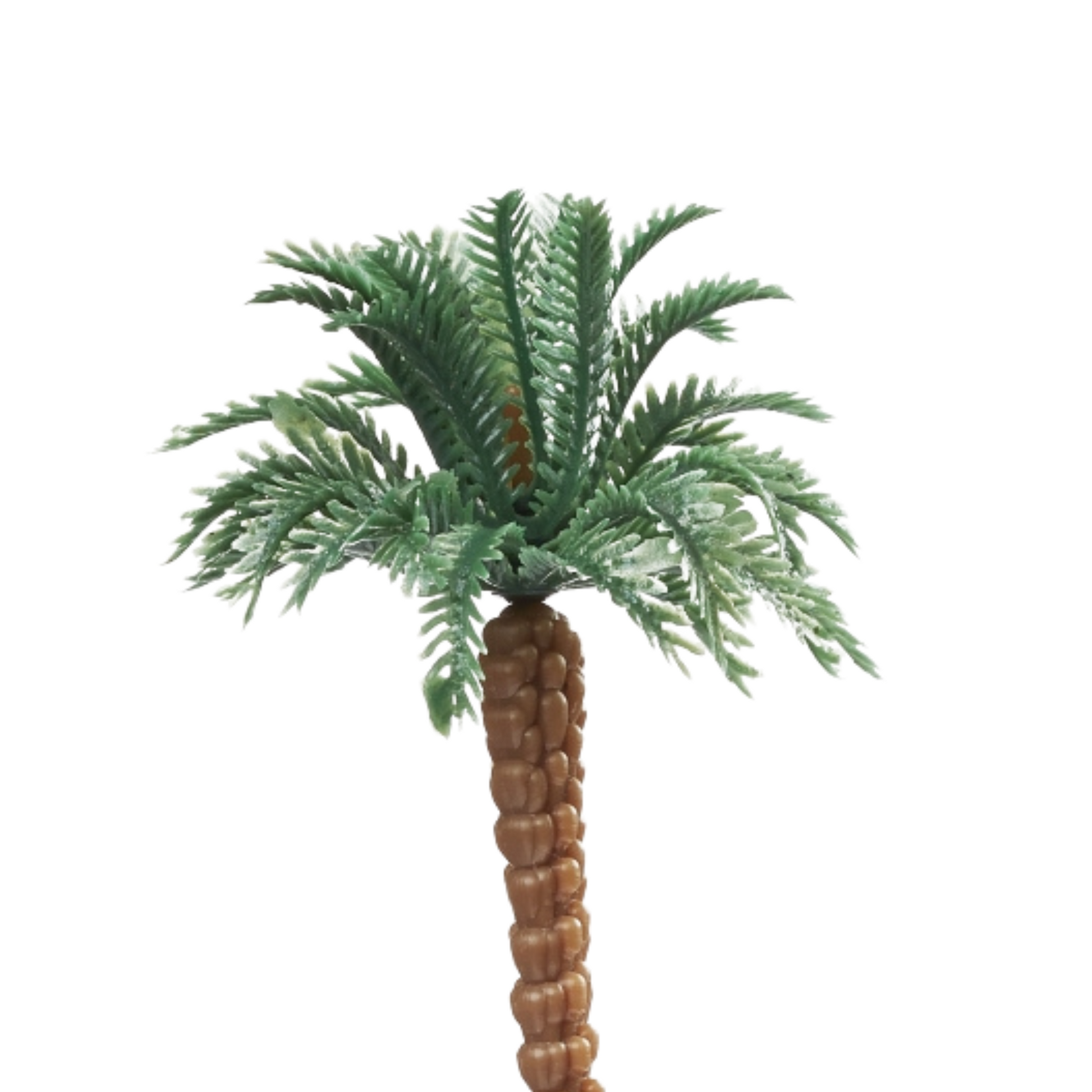 Miniatur Palme 15cm - Großansicht oberer Teil