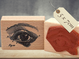 Stempel Auge Anatomie