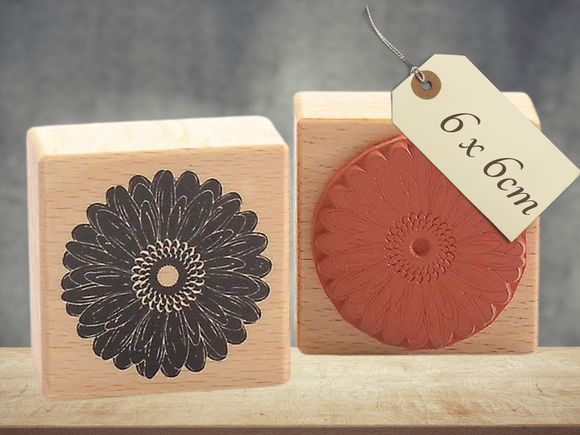 Stempel Gerbera Blüte Blume