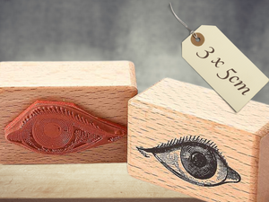 Stempel Auge Anatomie